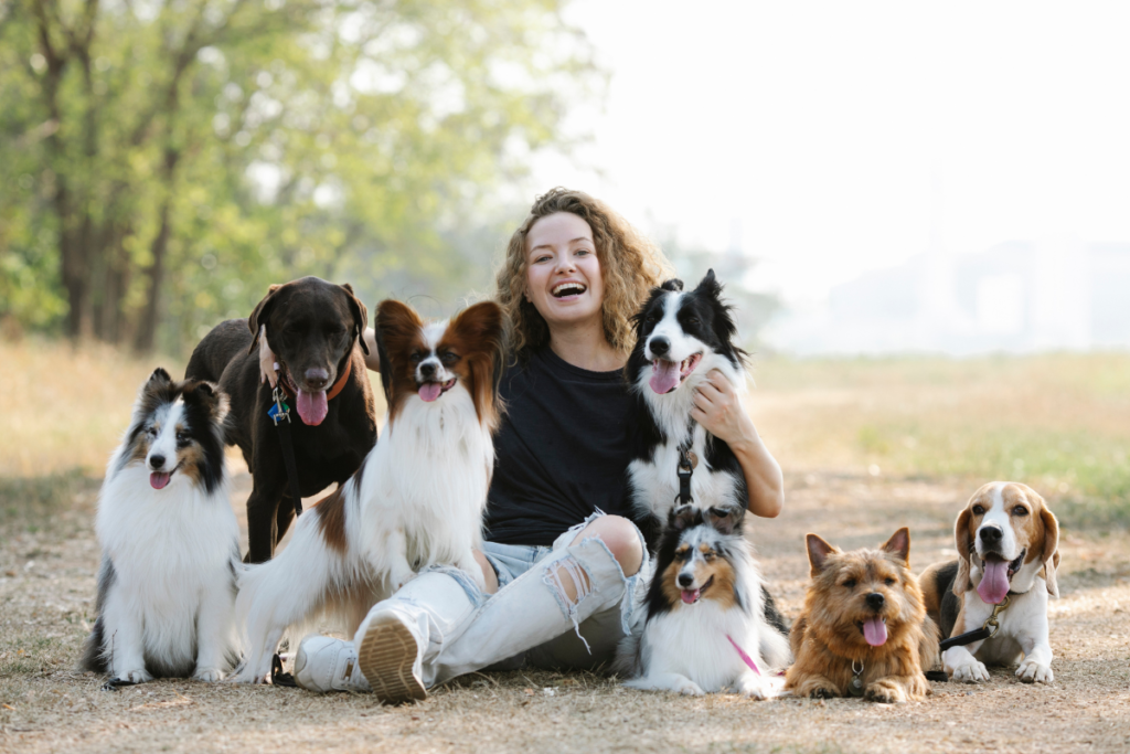 Dog owner sitting outdoors with several dogs
