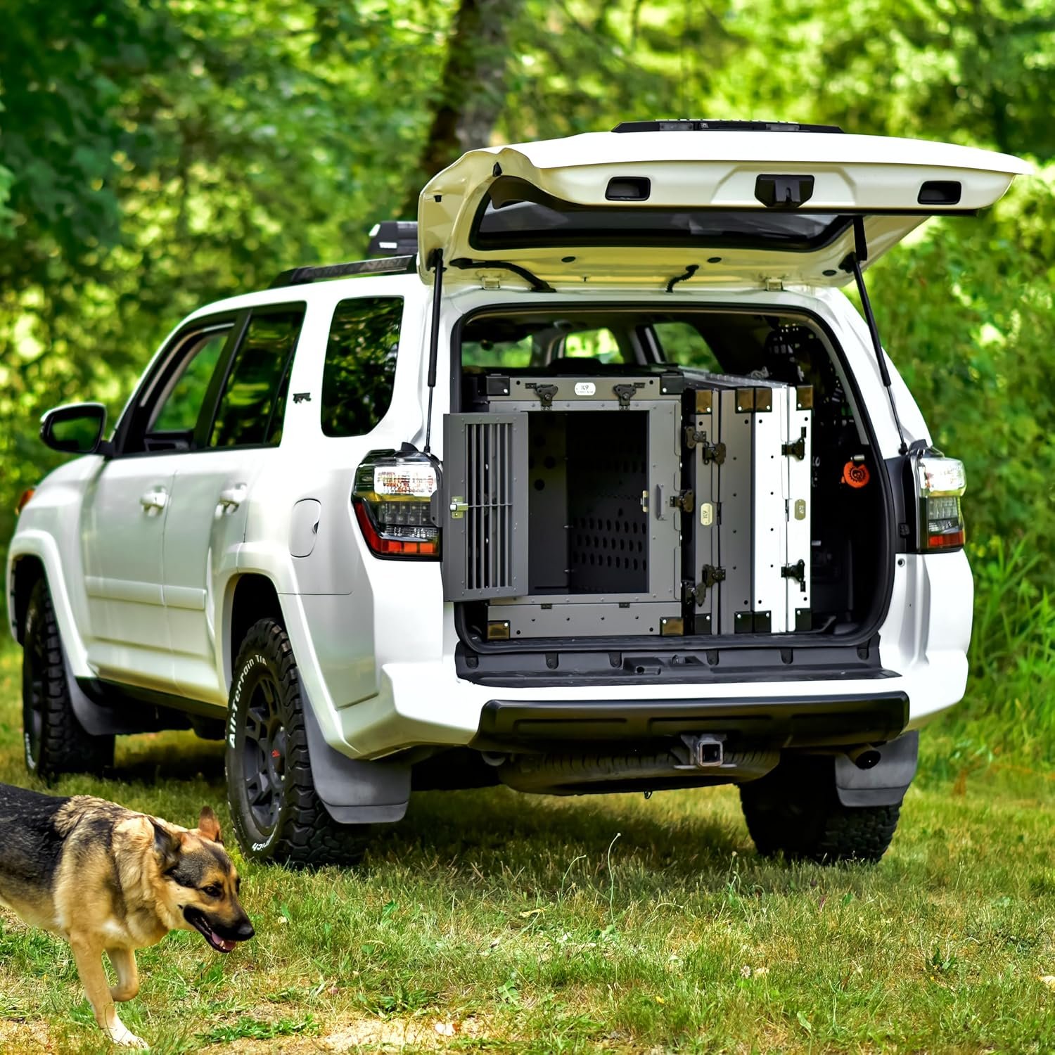 Best Dog Crate for Separation Anxiety: 5 Heavy-Duty Picks to Keep Your Pup Safe 1best dog crate for separation anxiety