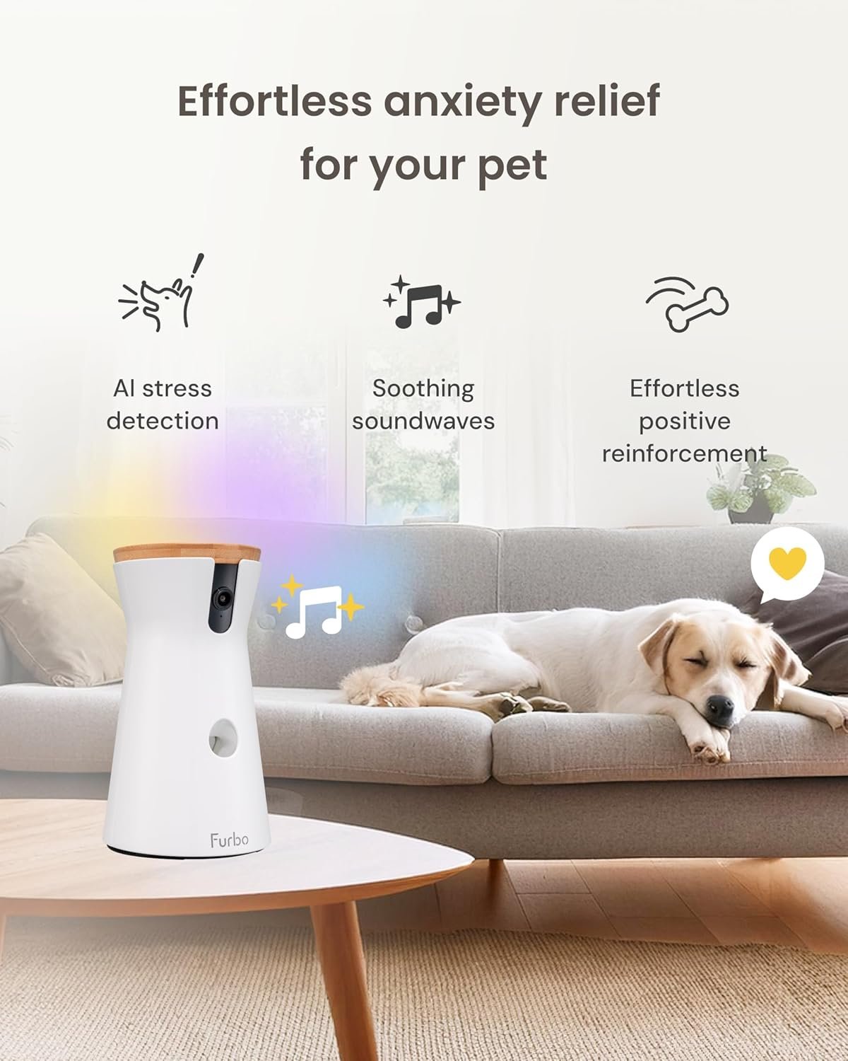 Dog Separation Anxiety Signs: 7 Clear Warnings + What Helpful Steps You Can Take furbo 360° dog camera anxiety relief for your pet