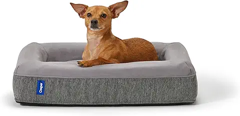 casper plush memory foam dog bed