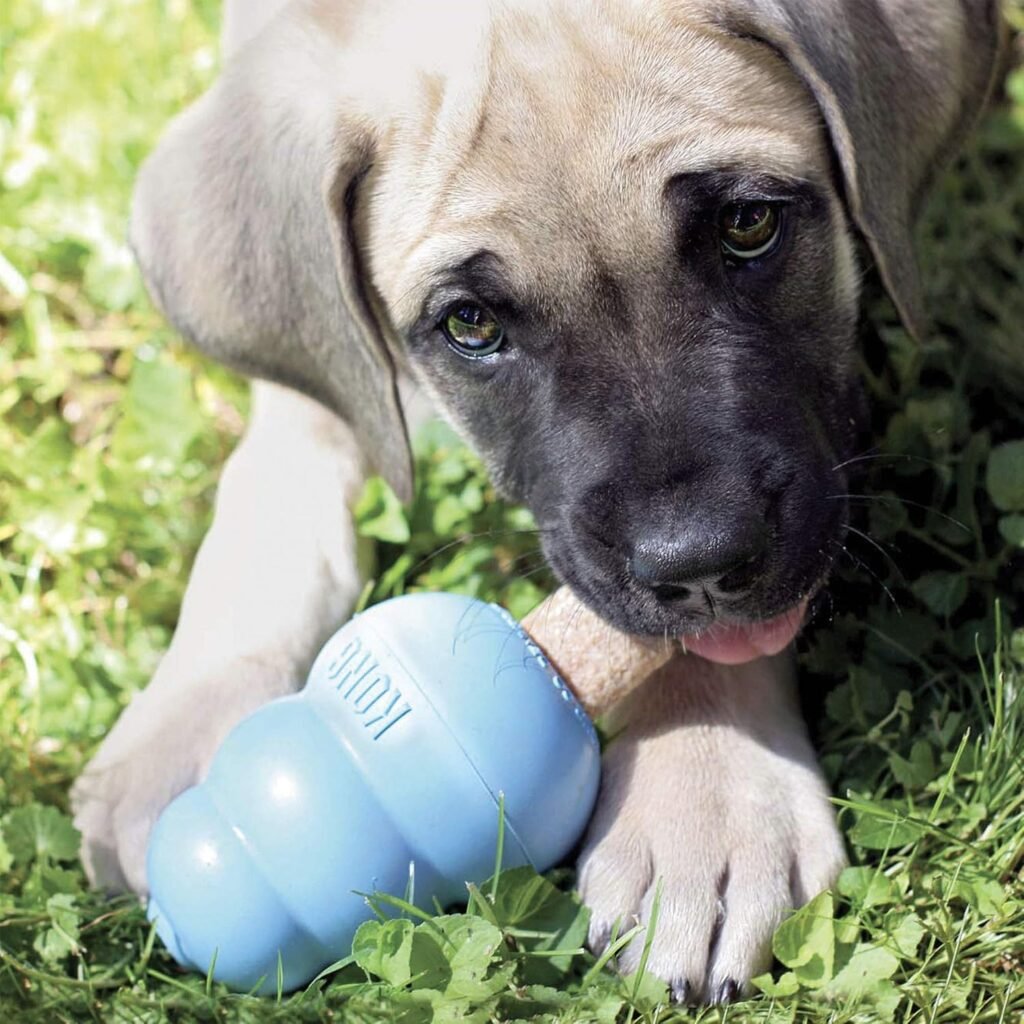 Cute puppy lying on the grass chewing on a blue frozen KONG rubber toy