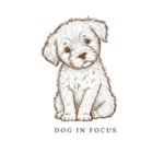 dog in focus logo