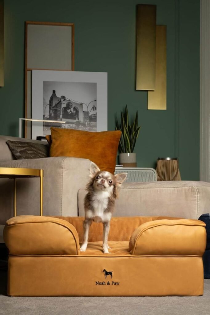 Mid-century modern camel vegan leather dog bed in a styled living room