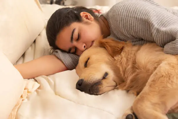 A close-up, heartwarming photo of a woman deeply asleep with her Golden Retriever, who is snuggled completely against her back on a soft white bed.