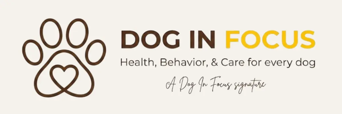 Dog in Focus logo - Health, Behavior, and Care for every dog